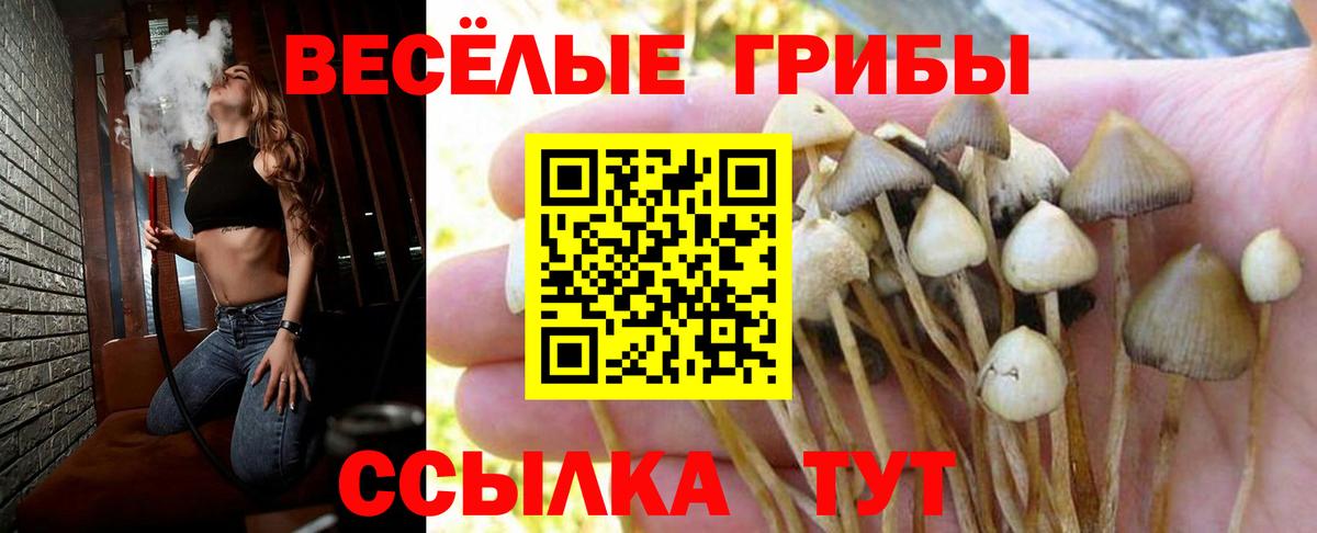 Галлюциногенные грибы ЛСД  Вход с VPN  Заволжье 